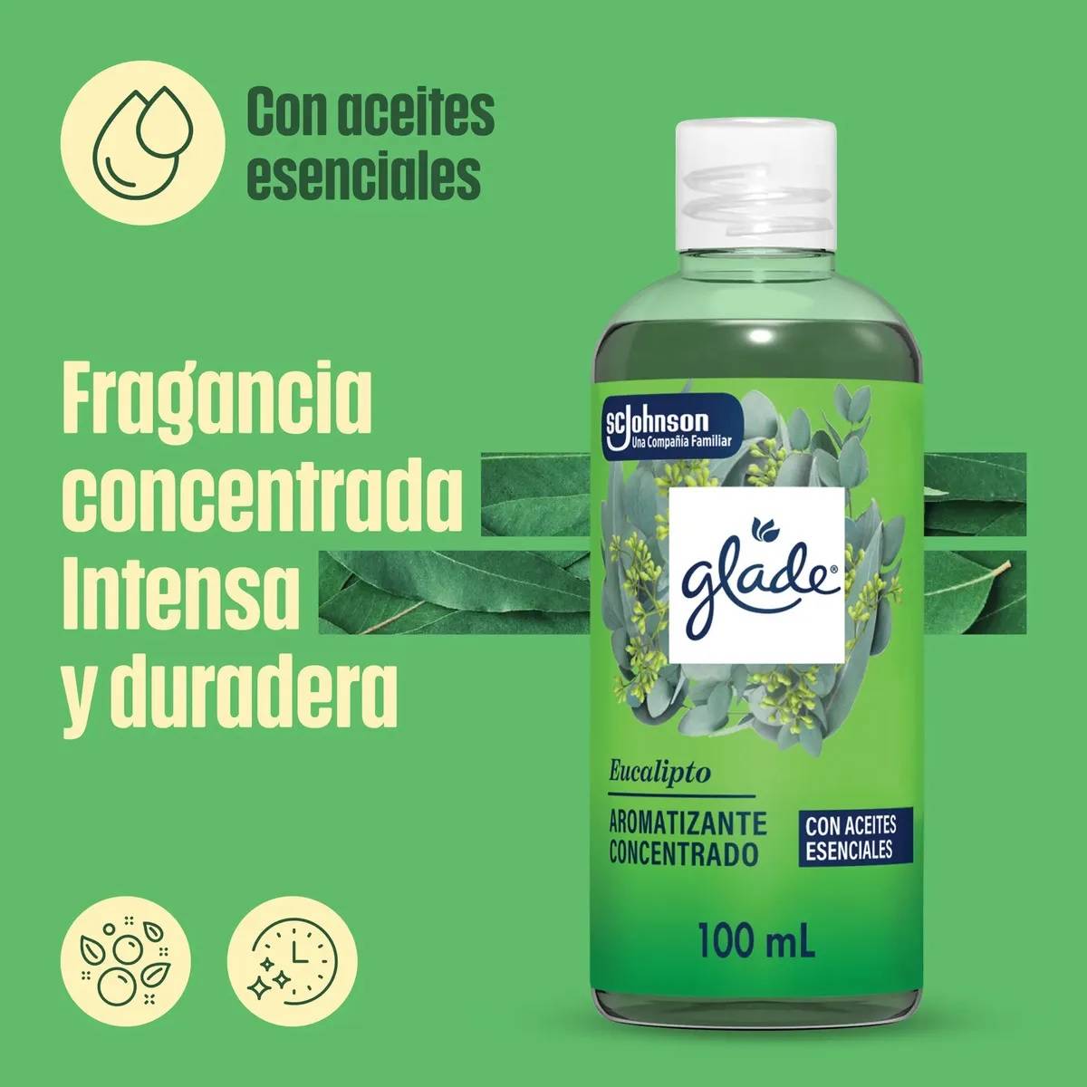 EUCALIPTO
