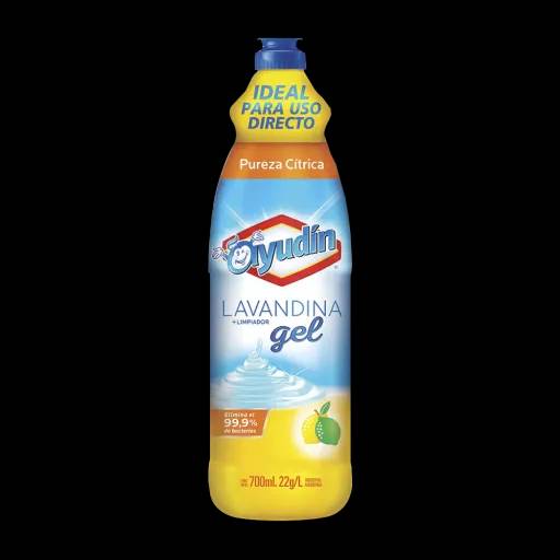 Lavandina Ayudin en Gel Citrica 700 Ml.
